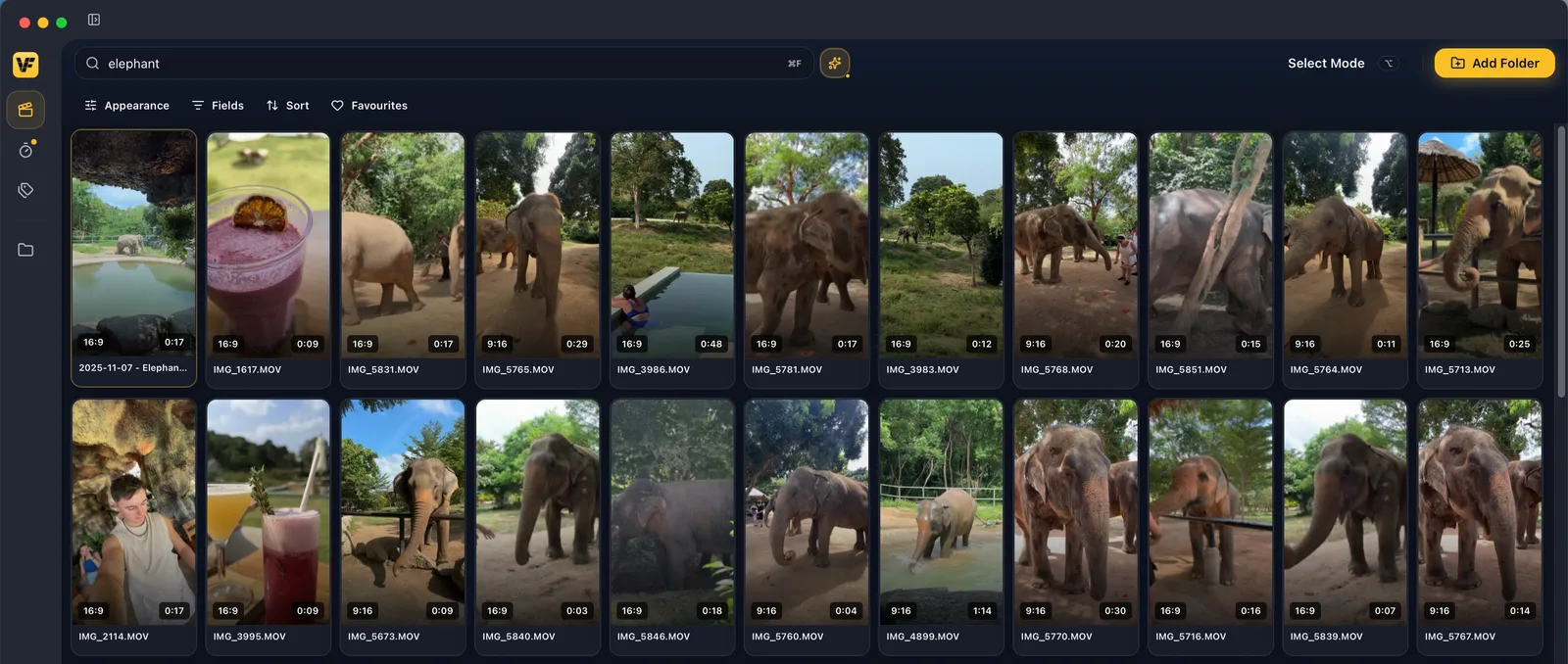 The VidFinder search bar with a single query typed in, results populating below.