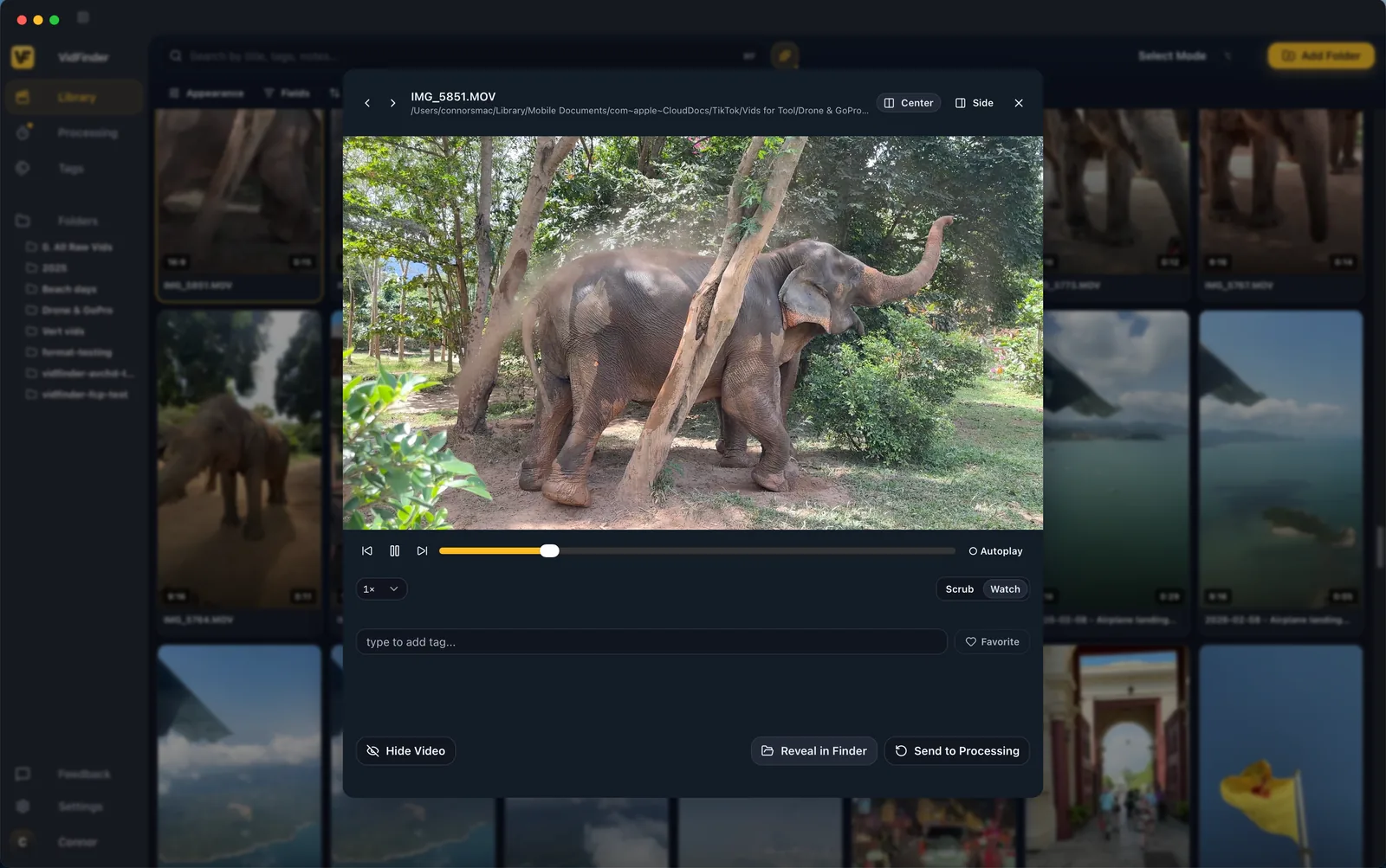 A single video opened in VidFinder showing tagging, favorite, and processing controls.