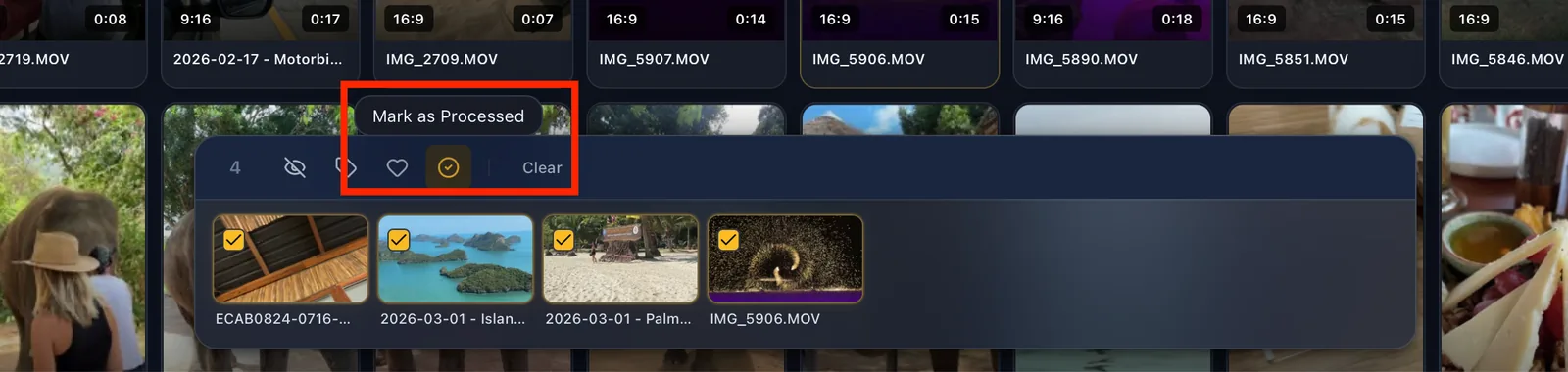 Multiple clips selected in VidFinder with the bottom selection tray hovered over Mark as processed.